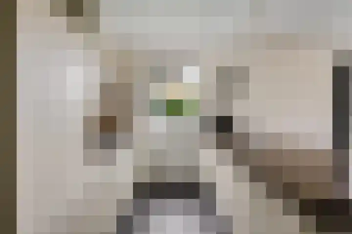 Boeier 9 Gorredijk thumbnail 12