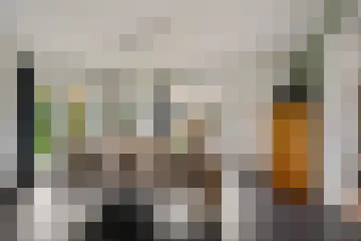 Boeier 9 Gorredijk thumbnail 13