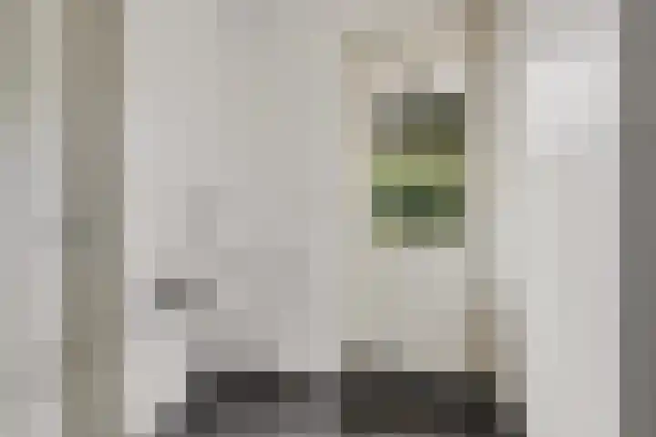 Boeier 9 Gorredijk thumbnail 19