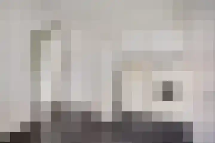 Boeier 9 Gorredijk thumbnail 20