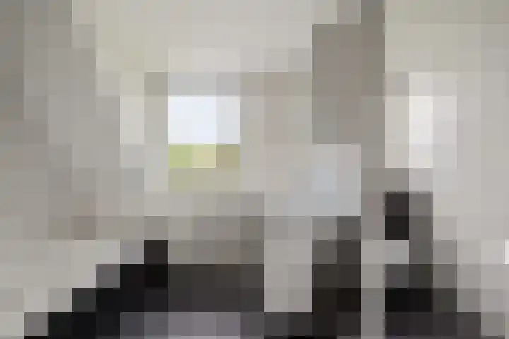 Boeier 9 Gorredijk thumbnail 22