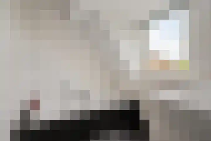 Boeier 9 Gorredijk thumbnail 23