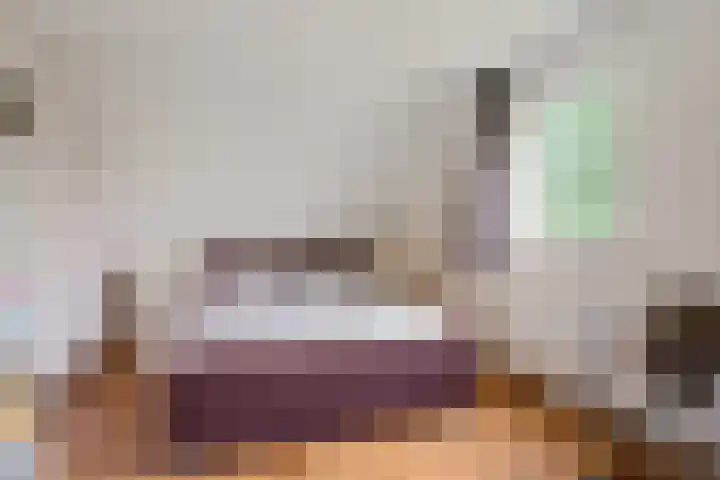 Boeier 9 Gorredijk thumbnail 27