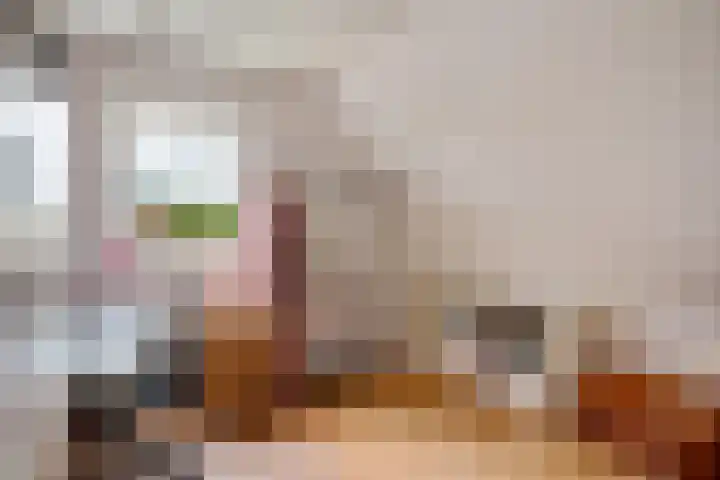Boeier 9 Gorredijk thumbnail 29