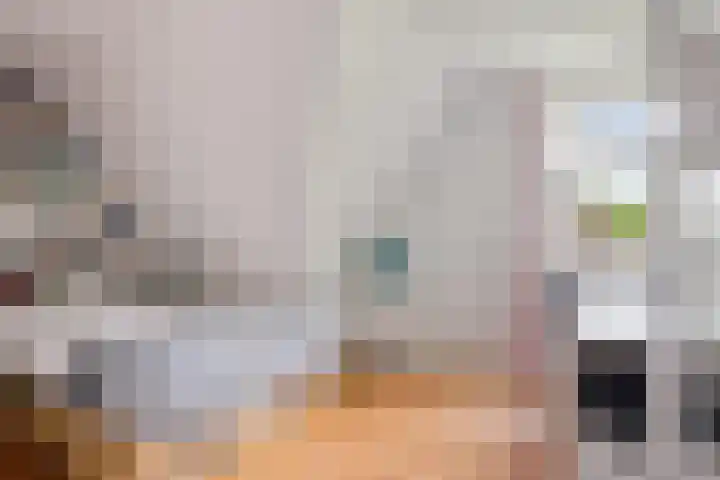 Boeier 9 Gorredijk thumbnail 31