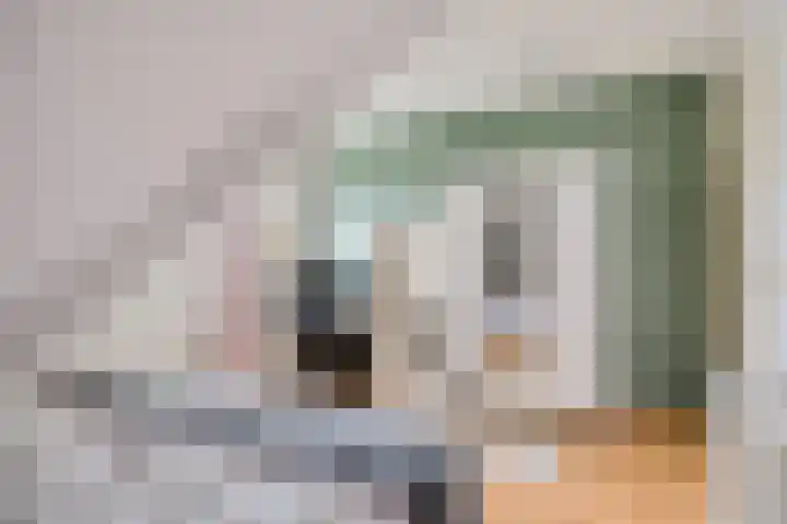 Boeier 9 Gorredijk thumbnail 32