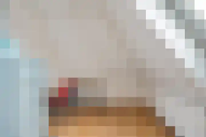 Boeier 9 Gorredijk thumbnail 34