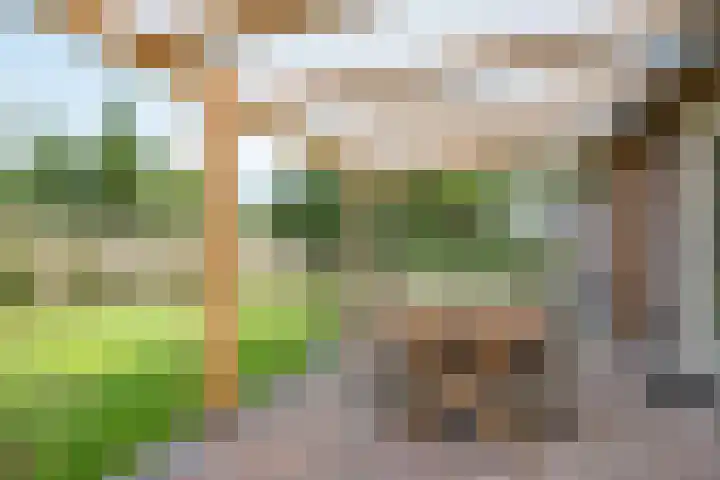 Boeier 9 Gorredijk thumbnail 36