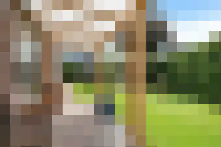 Boeier 9 Gorredijk thumbnail 37