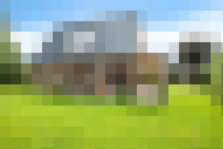 Boeier 9 Gorredijk thumbnail 38