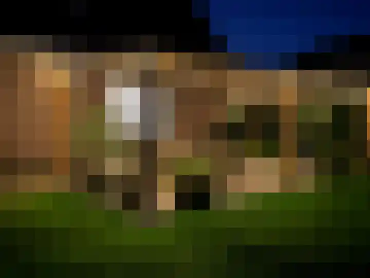 Boeier 9 Gorredijk thumbnail 39