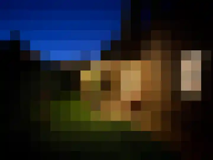 Boeier 9 Gorredijk thumbnail 40