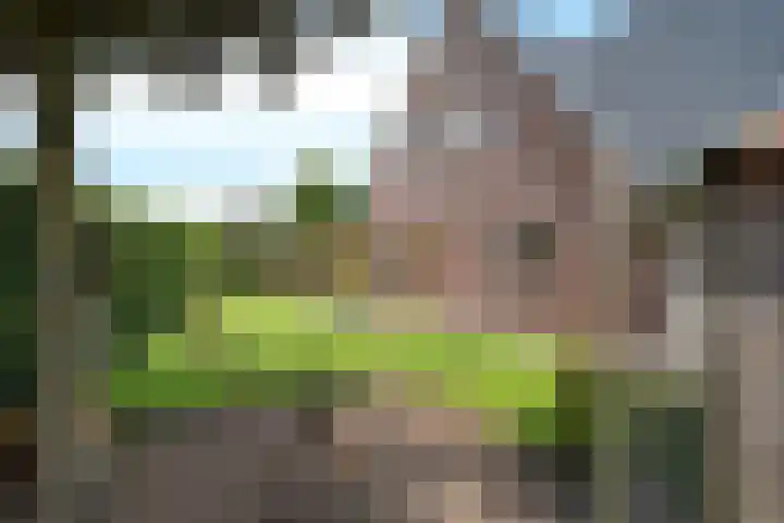 Boeier 9 Gorredijk thumbnail 42