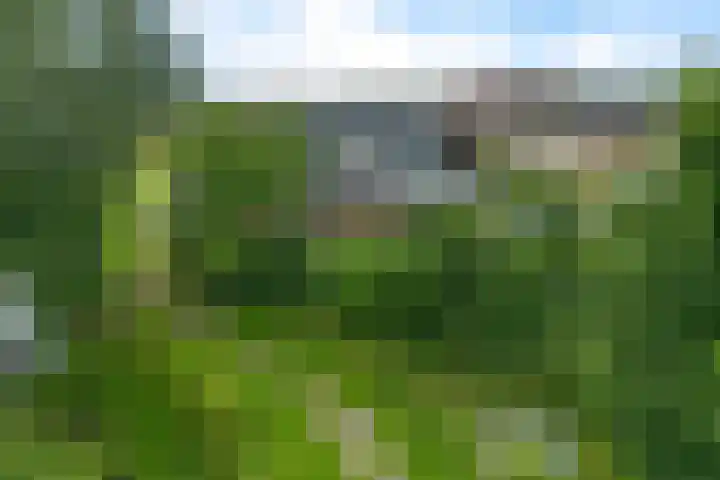 Boeier 9 Gorredijk thumbnail 48