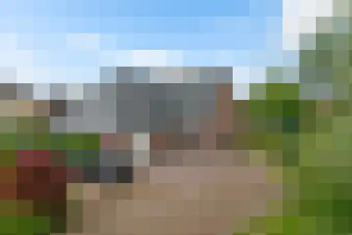 Boeier 9 Gorredijk thumbnail 49