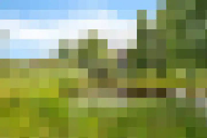 Boeier 9 Gorredijk thumbnail 5