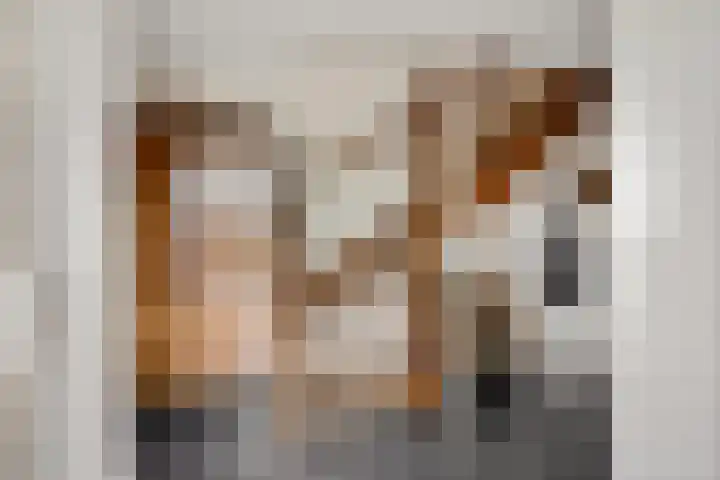 Boeier 9 Gorredijk thumbnail 8