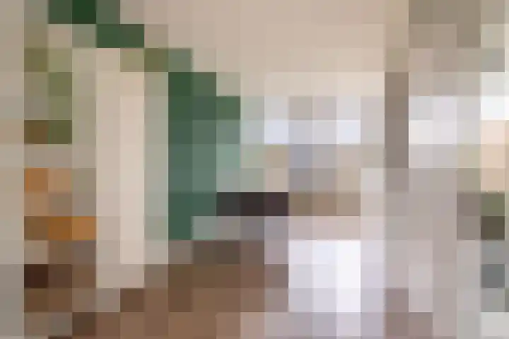 Boeier 9 Heerenveen thumbnail 15