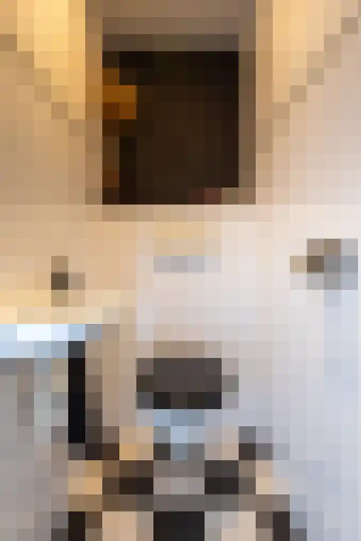 Boeier 9 Heerenveen thumbnail 24