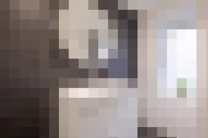 Boeier 9 Heerenveen thumbnail 36