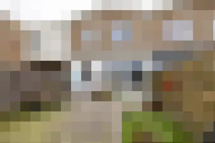 Boeier 9 Heerenveen thumbnail 5