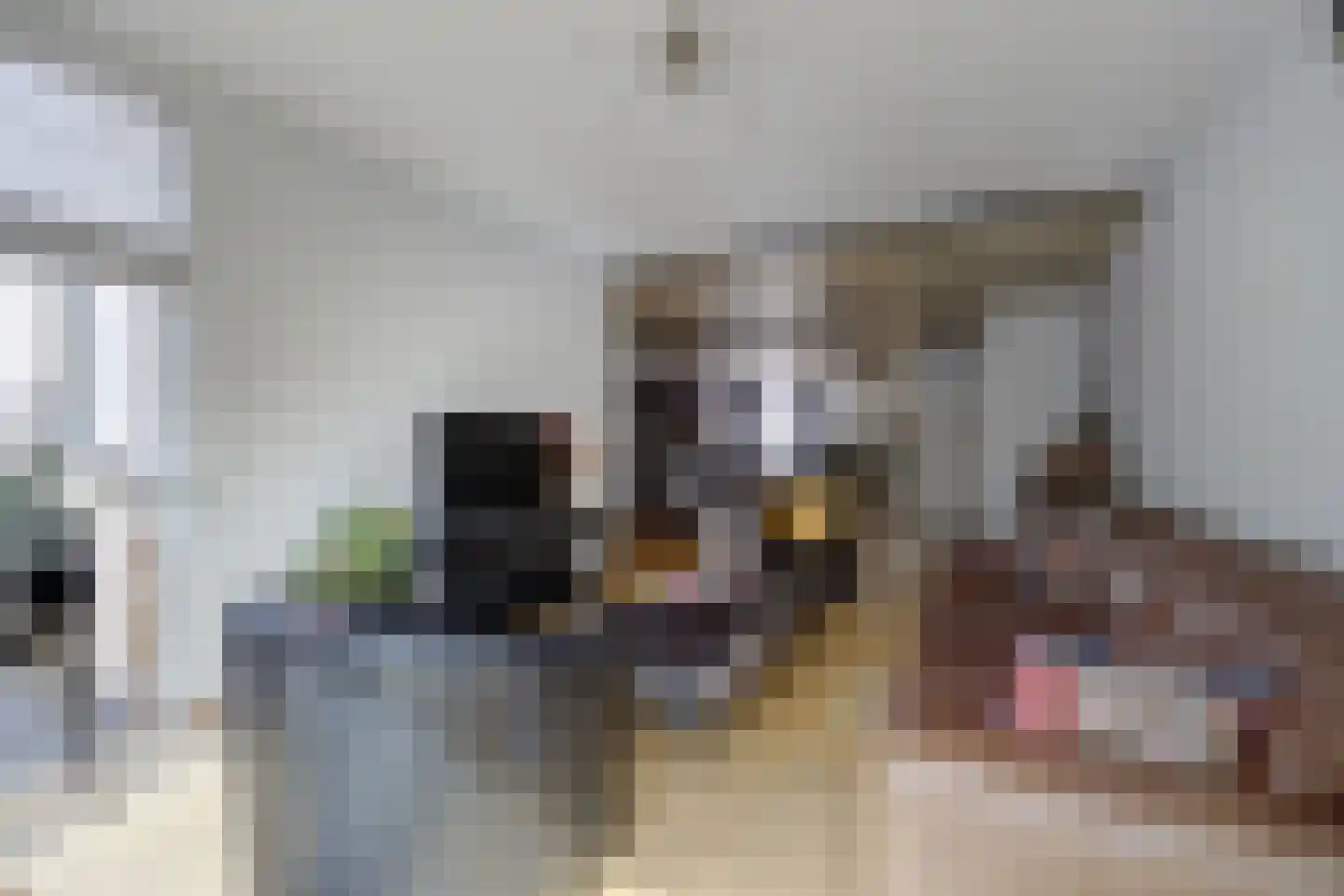 Boeieraak 15 Etten-Leur thumbnail 14
