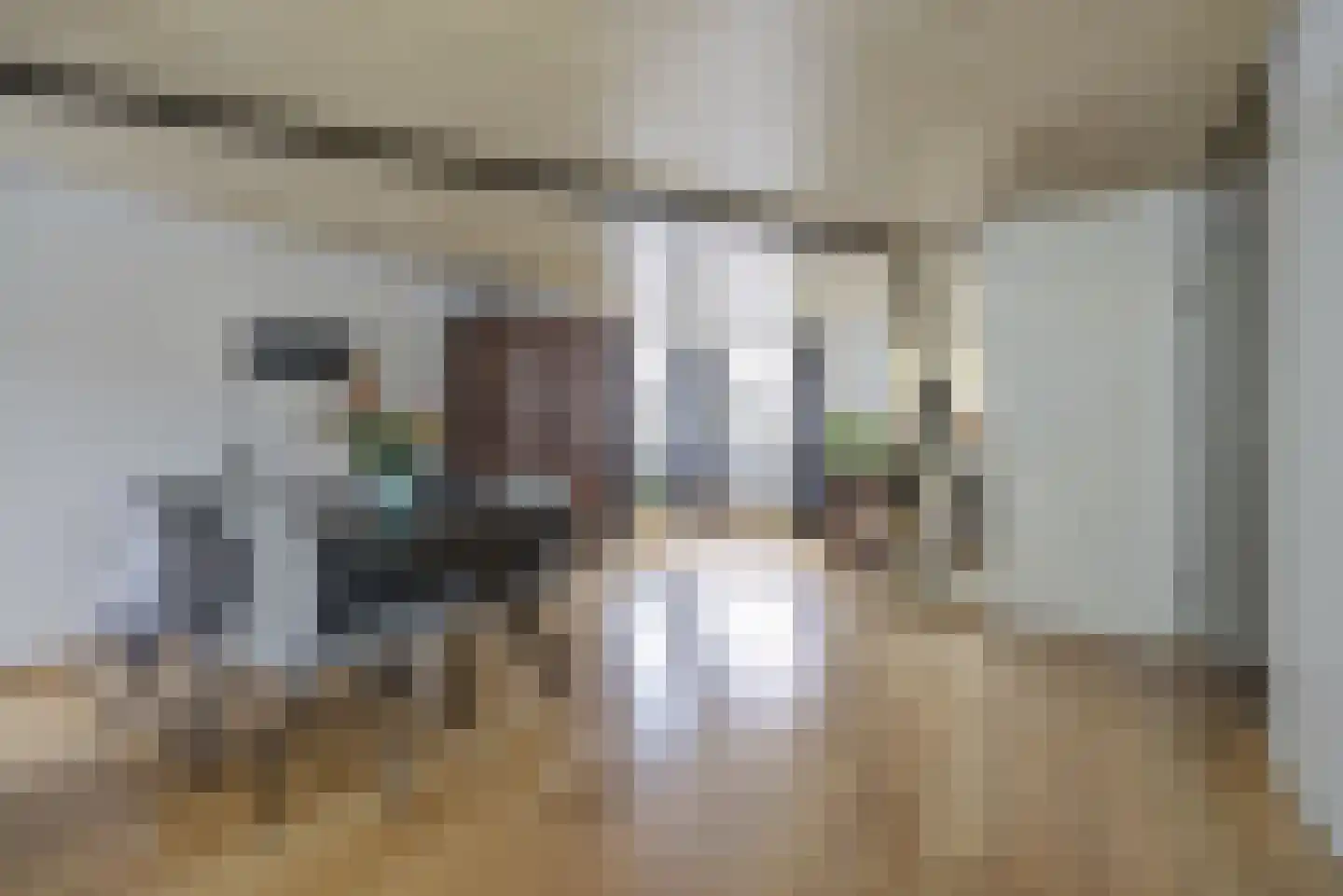 Boeieraak 15 Etten-Leur thumbnail 15