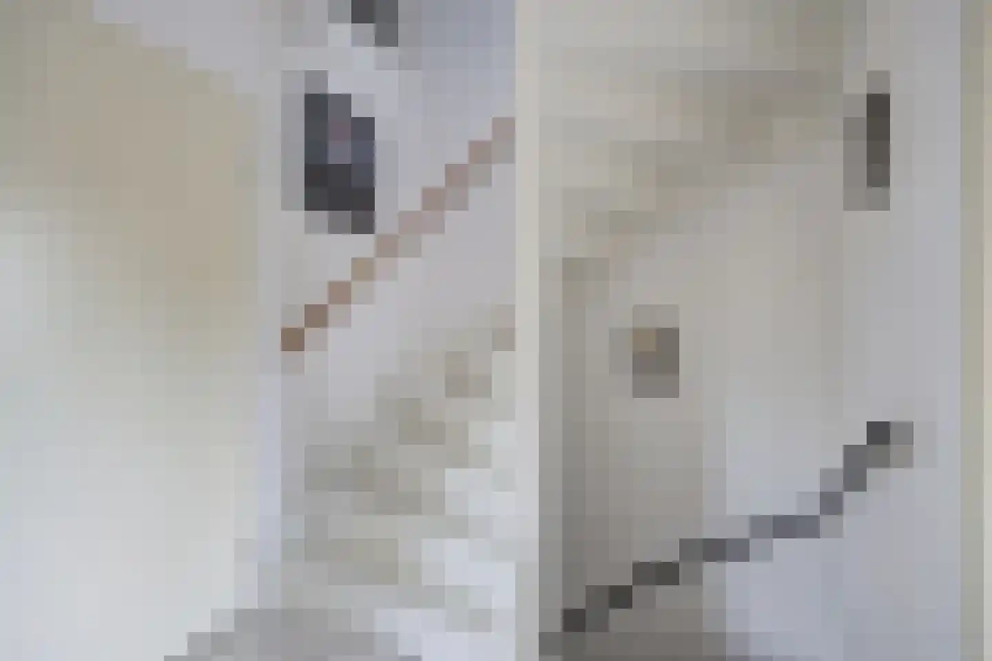 Boeieraak 15 Etten-Leur thumbnail 21