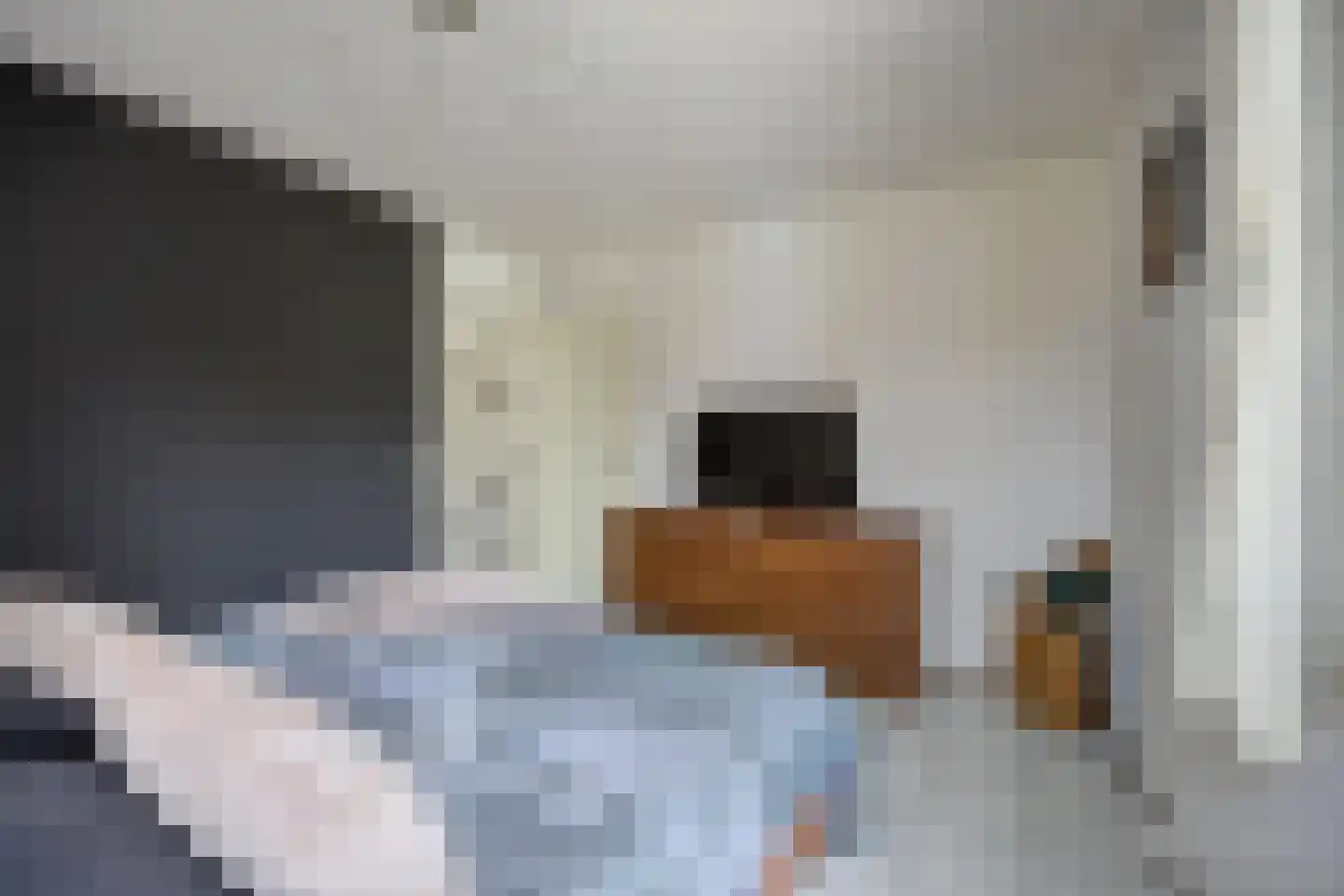 Boeieraak 15 Etten-Leur thumbnail 23