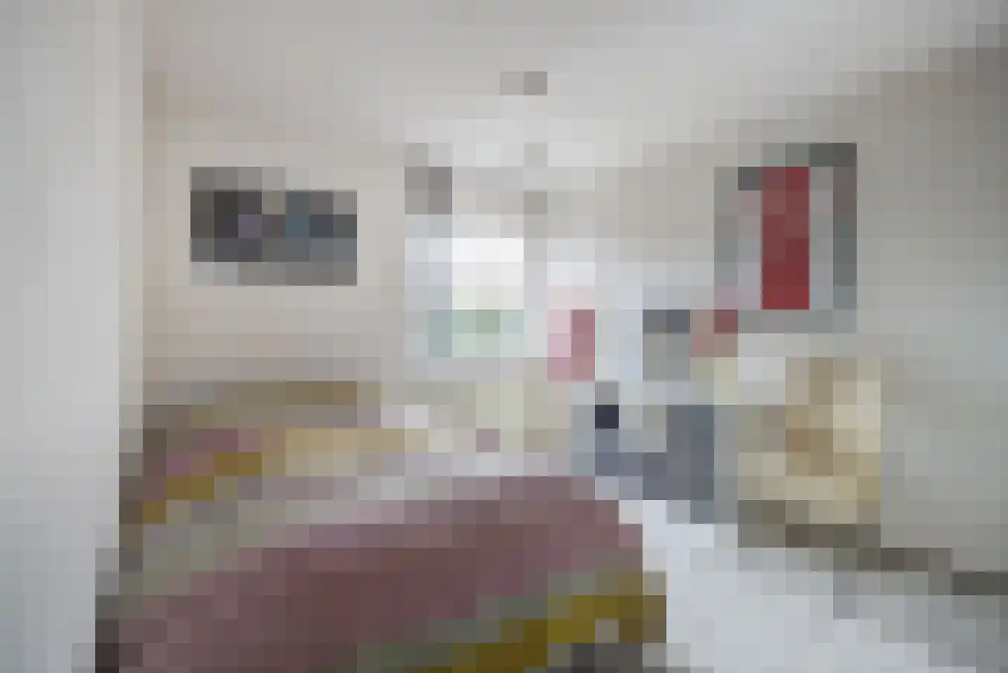 Boeieraak 15 Etten-Leur thumbnail 24