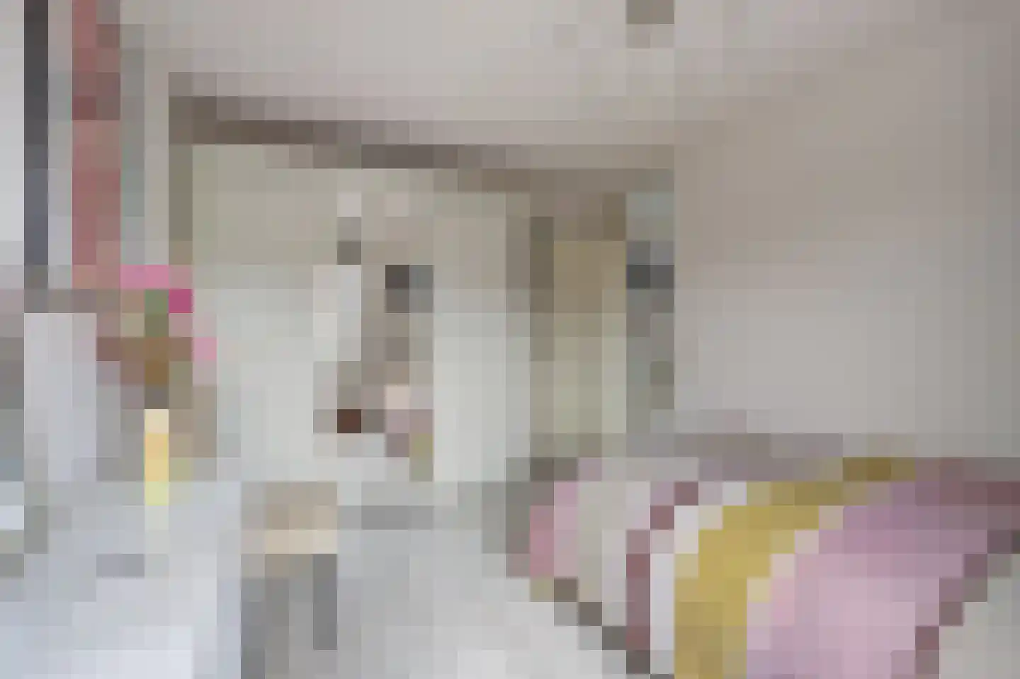 Boeieraak 15 Etten-Leur thumbnail 25