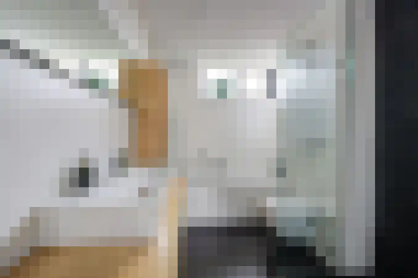 Boeieraak 15 Etten-Leur thumbnail 28