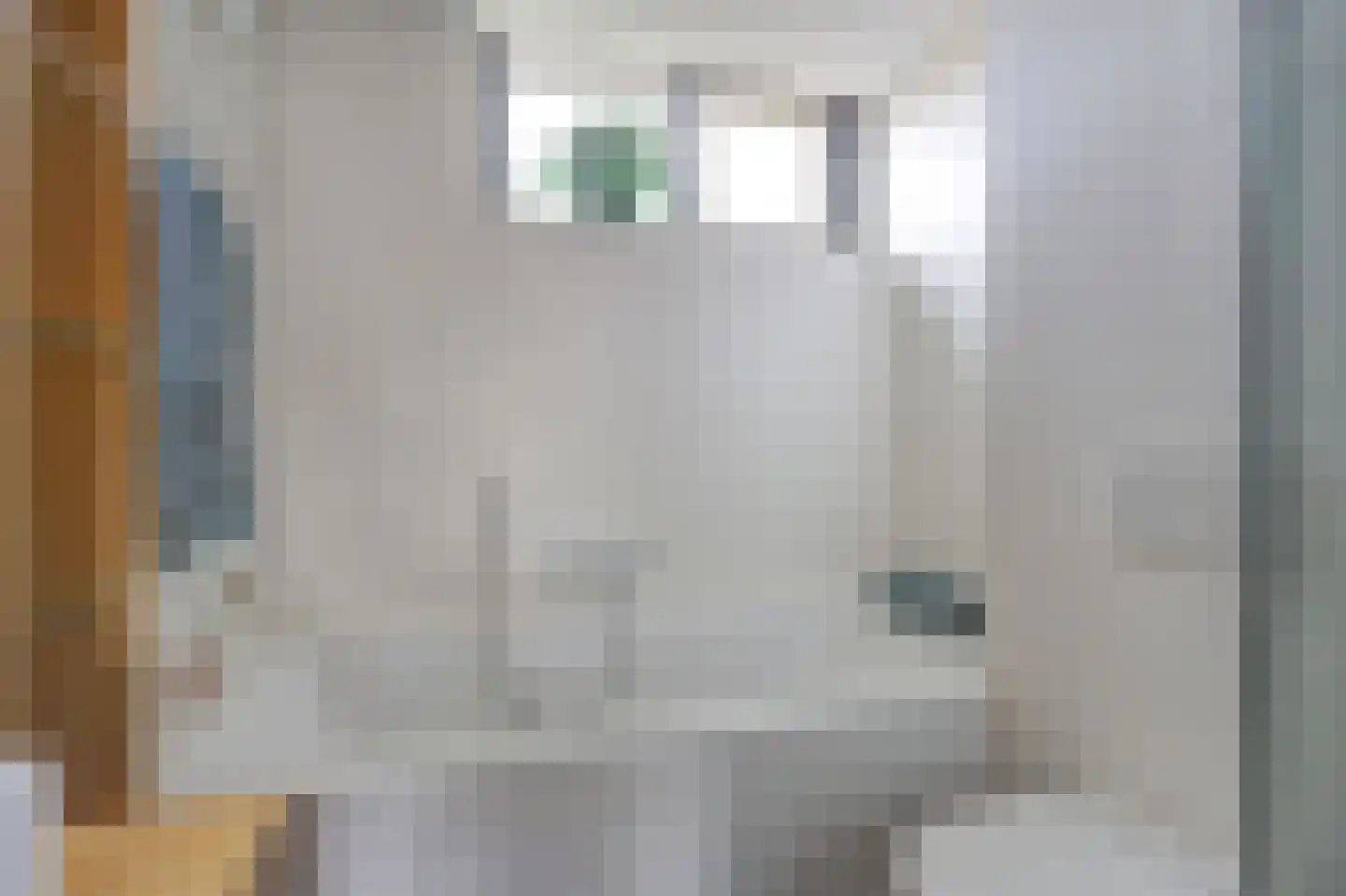 Boeieraak 15 Etten-Leur thumbnail 29