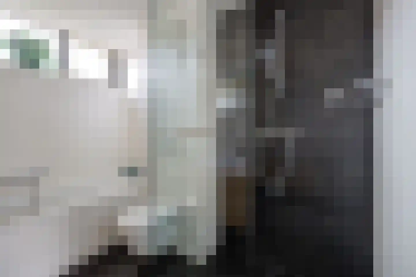 Boeieraak 15 Etten-Leur thumbnail 30