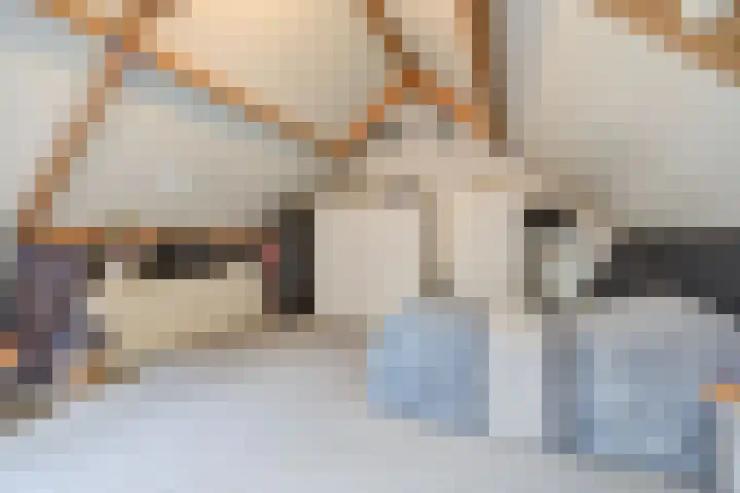 Boeieraak 15 Etten-Leur thumbnail 32