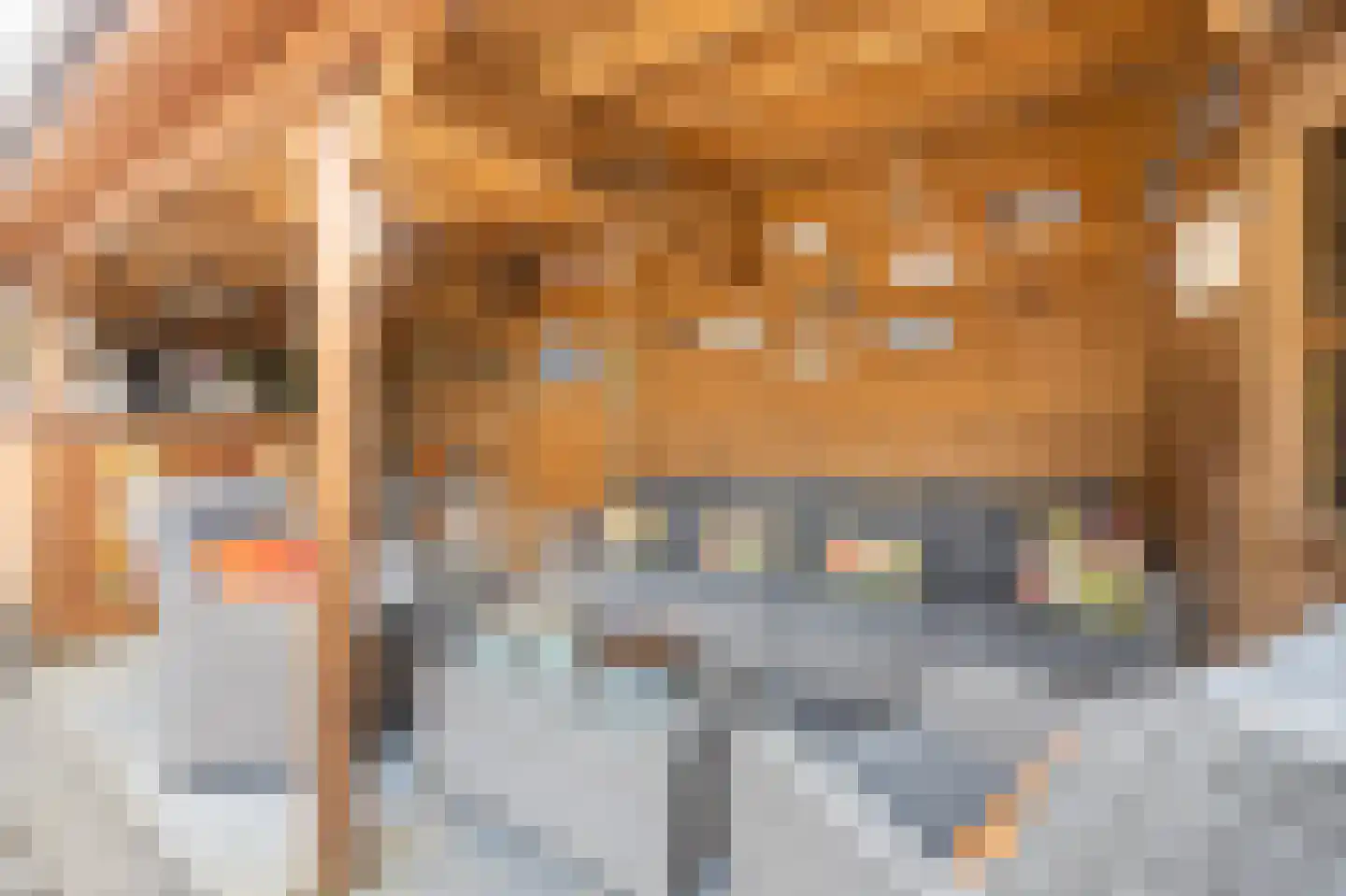 Boeieraak 15 Etten-Leur thumbnail 38