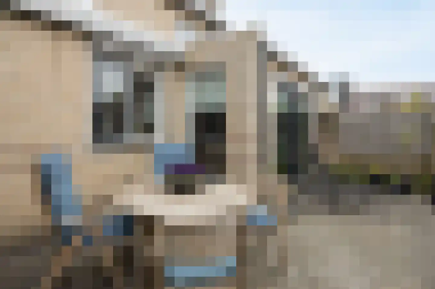 Boeieraak 15 Etten-Leur thumbnail 42