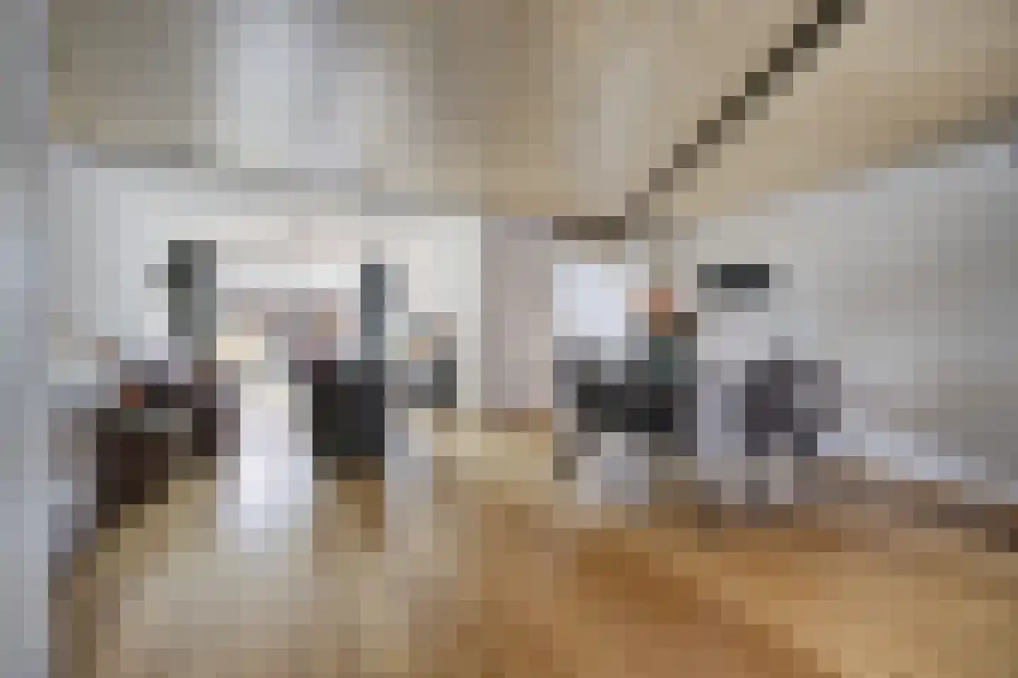 Boeieraak 15 Etten-Leur thumbnail 8