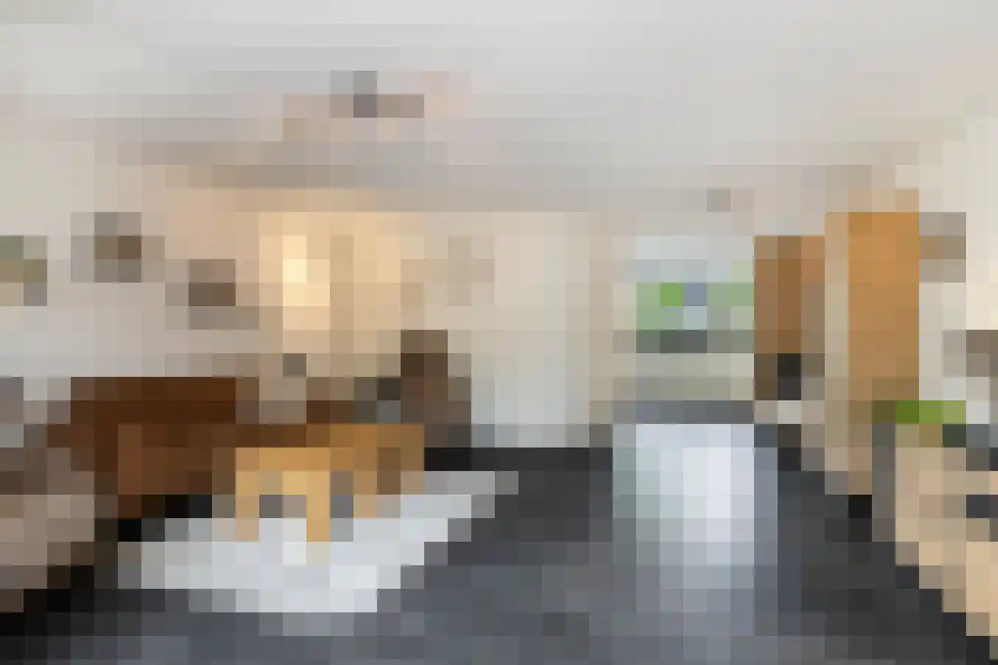 Boeieraak 20 Bergen op Zoom thumbnail 10
