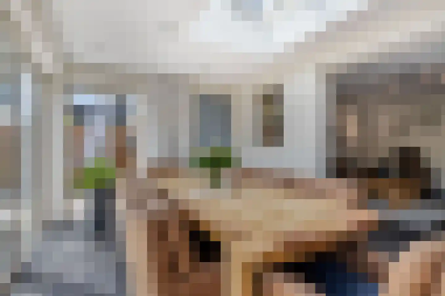 Boeieraak 20 Bergen op Zoom thumbnail 11
