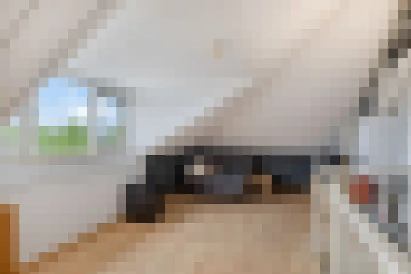 Boeieraak 20 Bergen op Zoom thumbnail 33