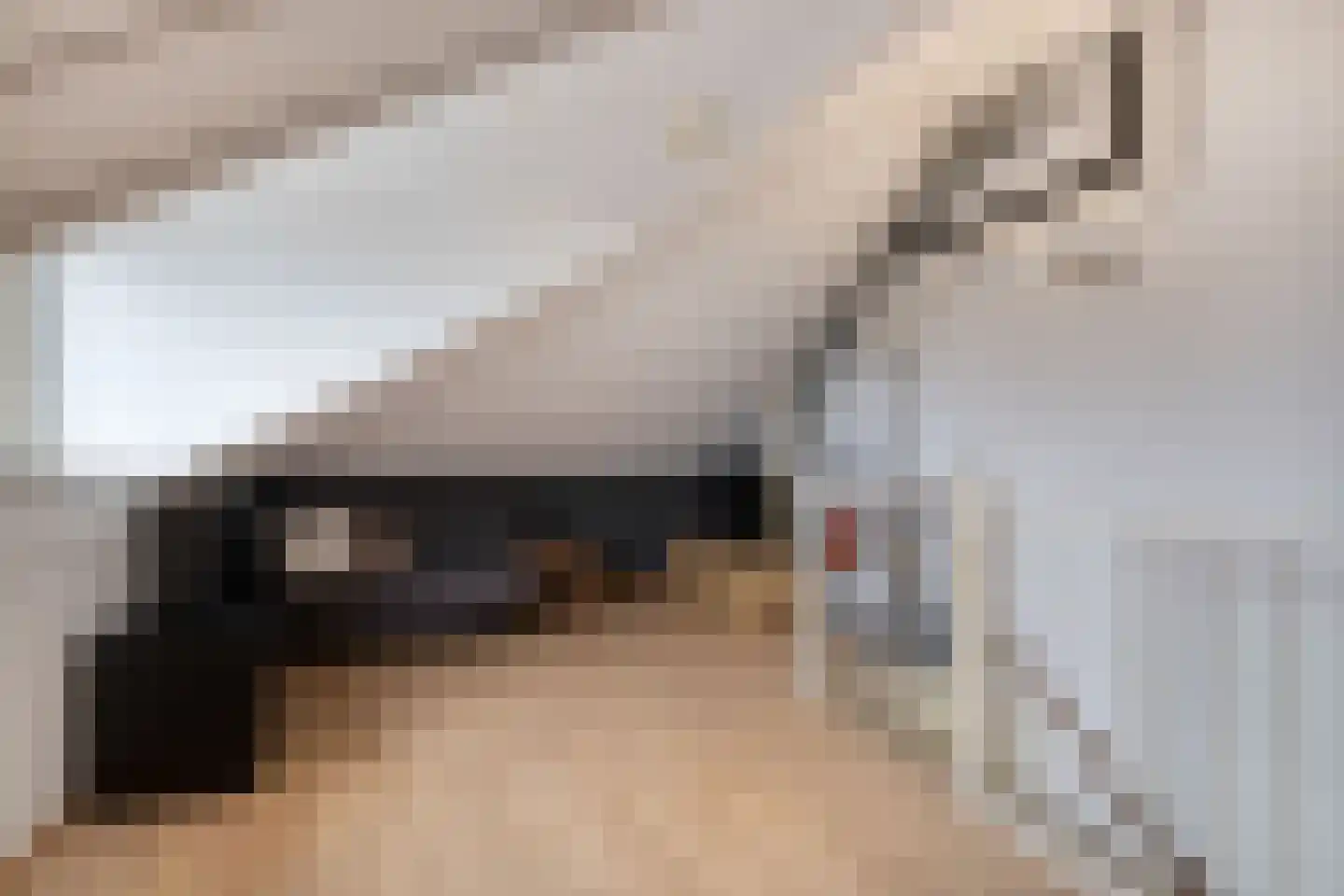 Boeieraak 20 Bergen op Zoom thumbnail 34