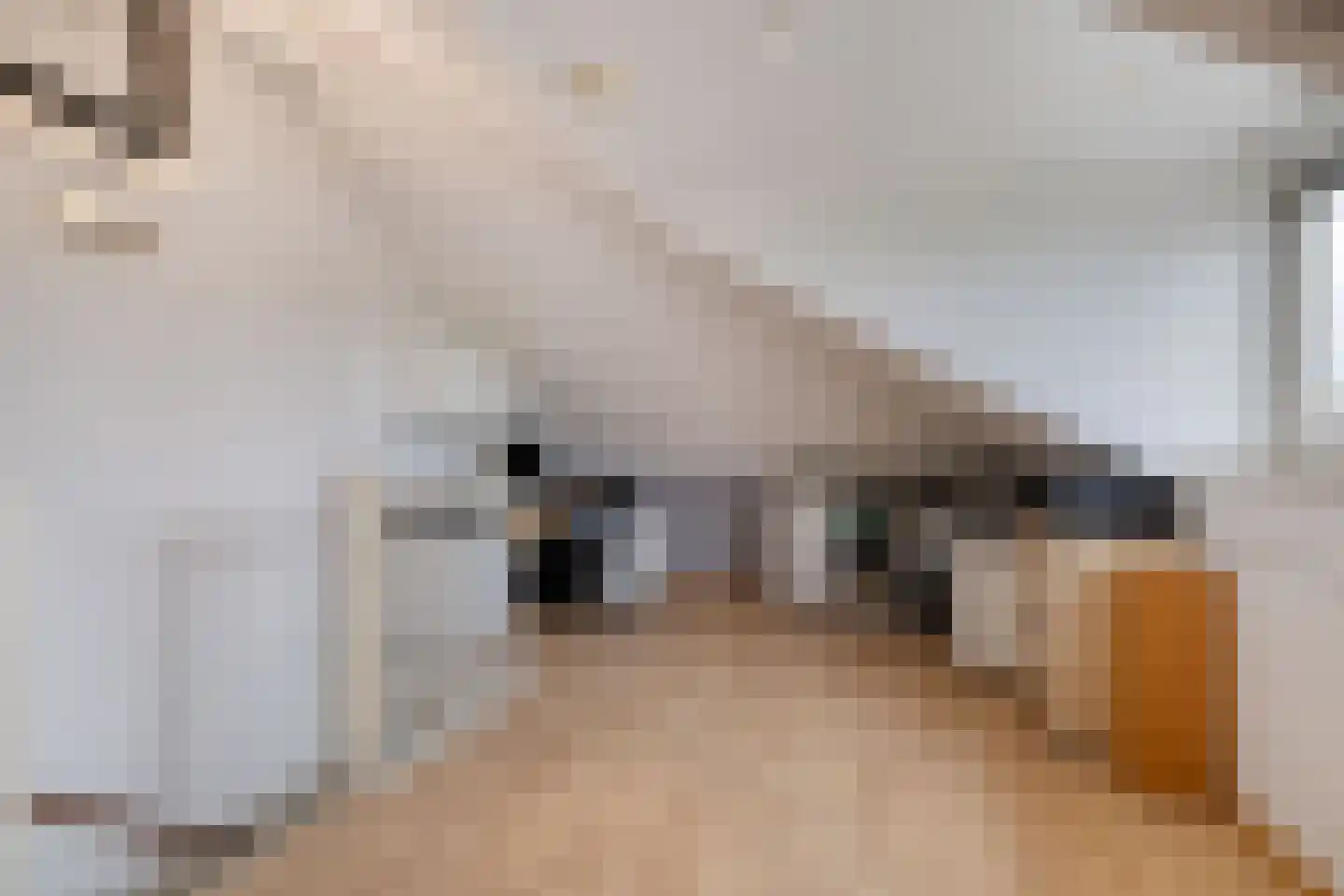 Boeieraak 20 Bergen op Zoom thumbnail 35