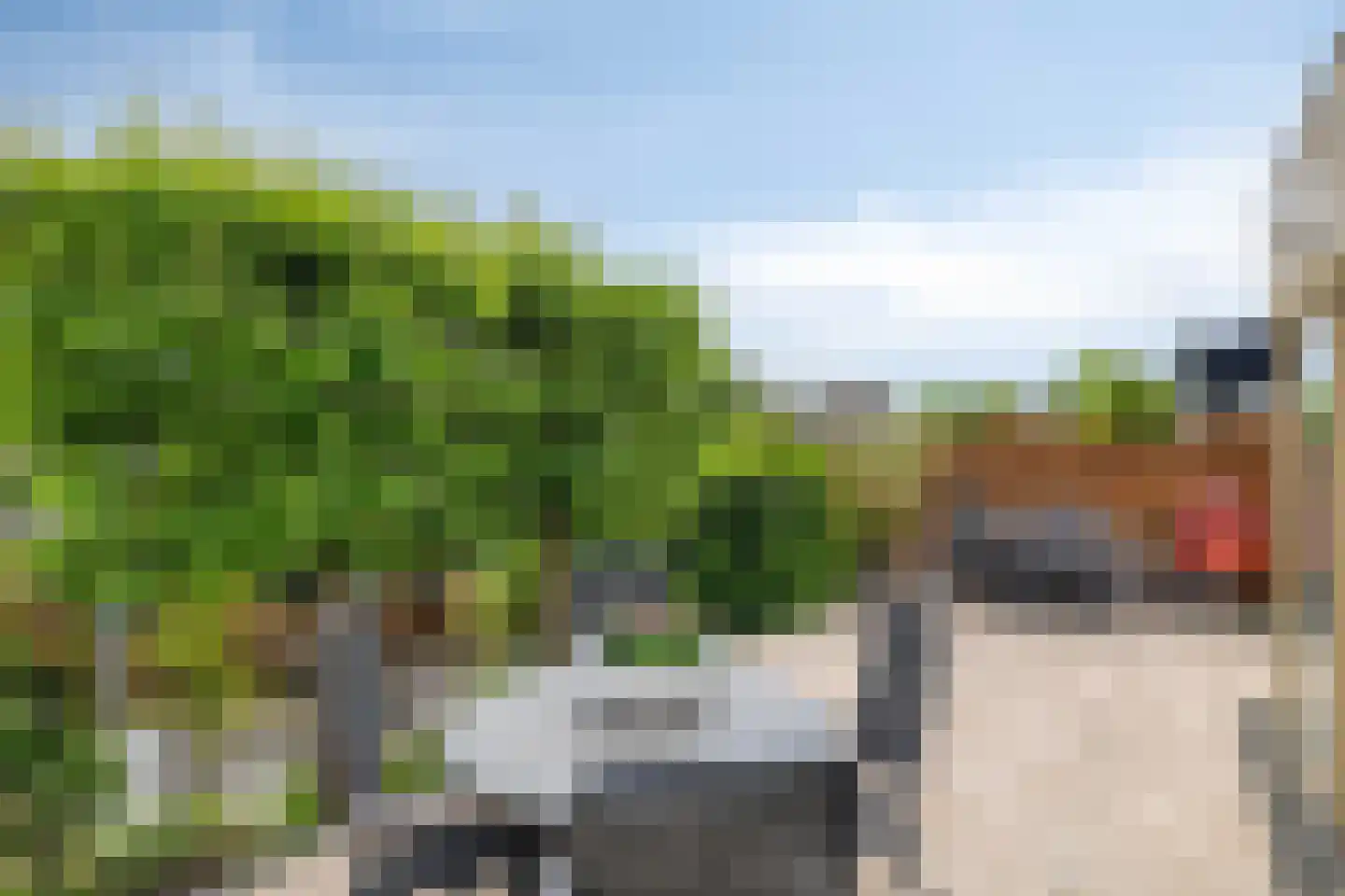 Boeieraak 20 Bergen op Zoom thumbnail 39
