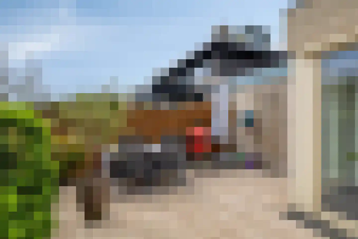 Boeieraak 20 Bergen op Zoom thumbnail 40