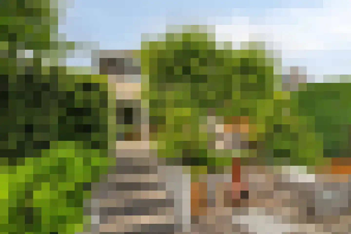 Boeieraak 20 Bergen op Zoom thumbnail 49