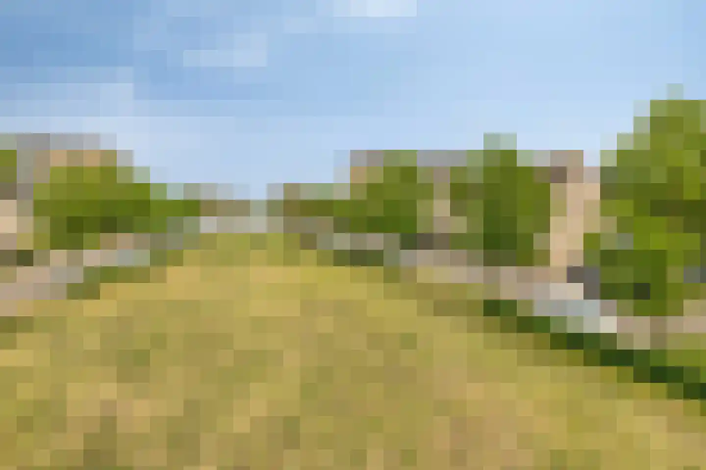 Boeieraak 20 Bergen op Zoom thumbnail 52