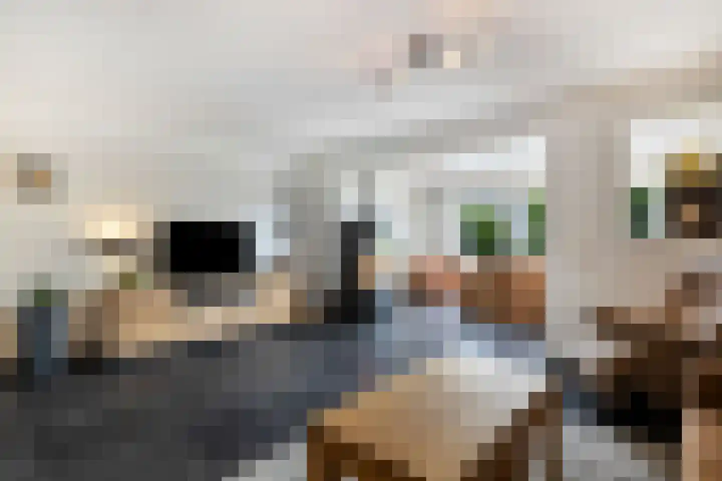 Boeieraak 20 Bergen op Zoom thumbnail 8