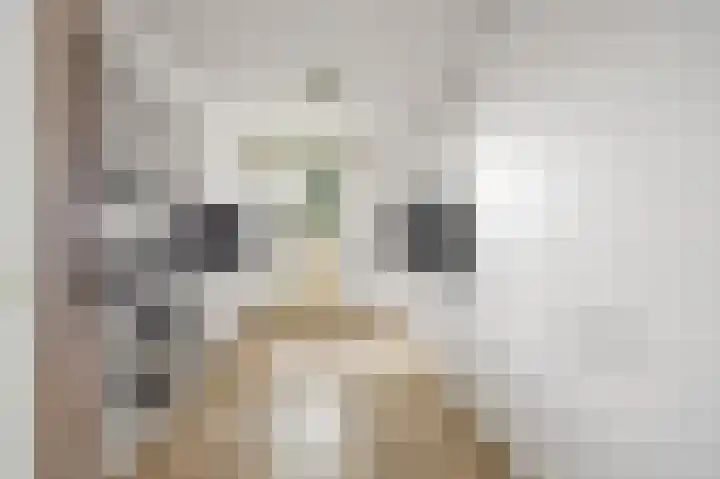 Boeieraak 24 Etten-Leur thumbnail 11