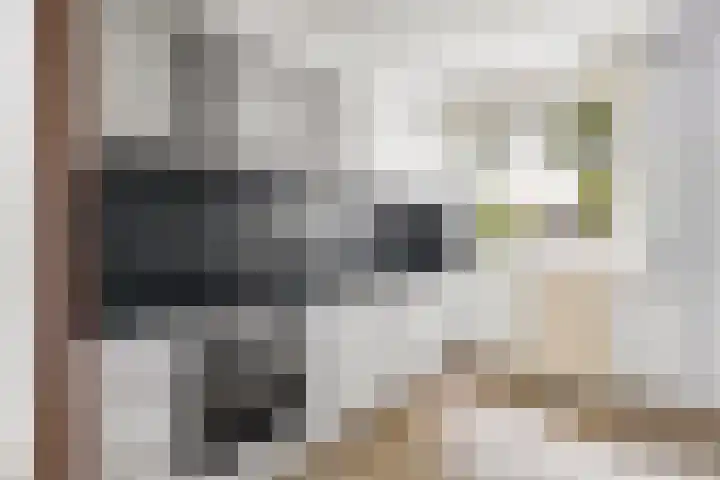 Boeieraak 24 Etten-Leur thumbnail 12